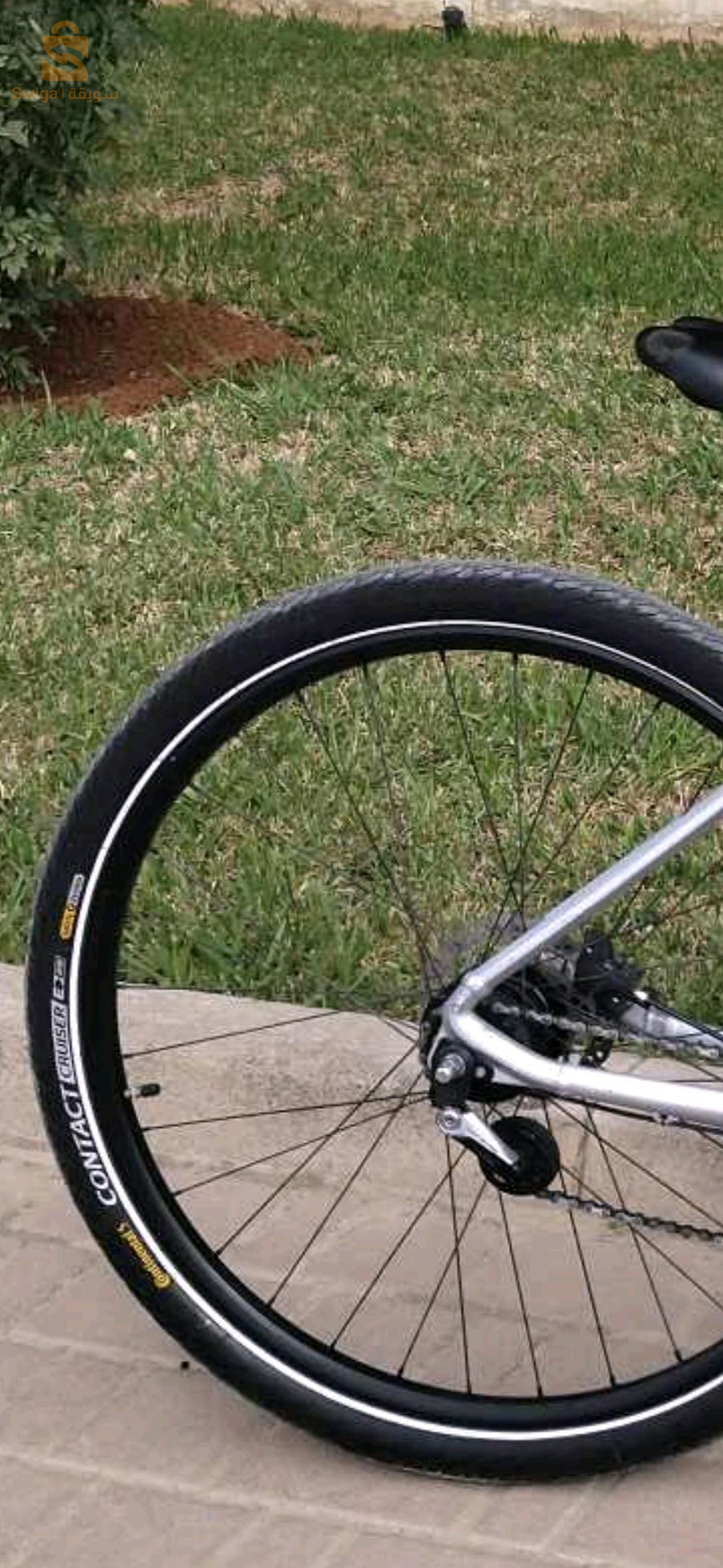 velo BMW