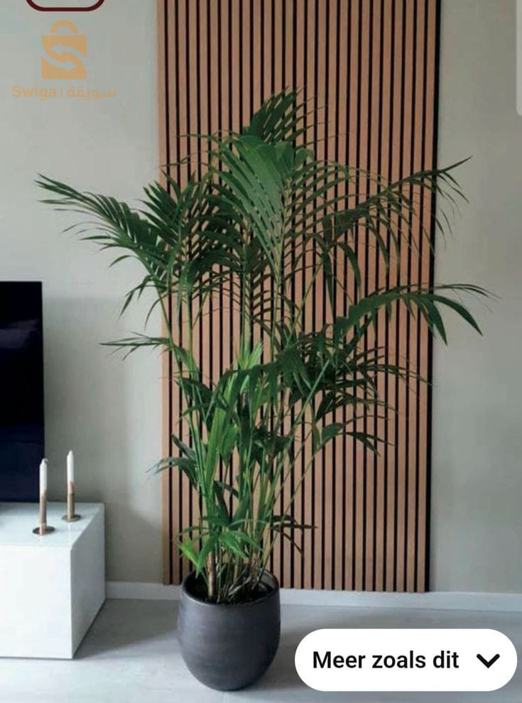panneaux claustra décoration acoustique flexible en bois mdf