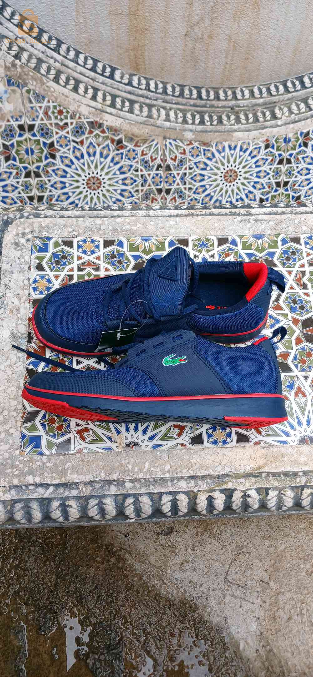 bascket lacoste homme original