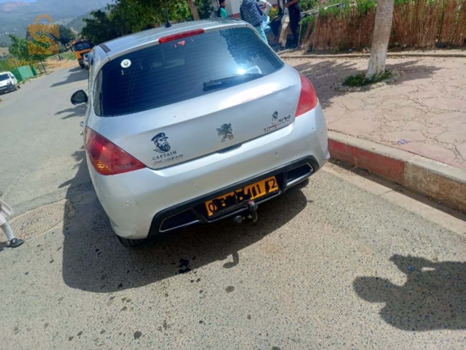 Peugeot 2011 42 TIPAZA