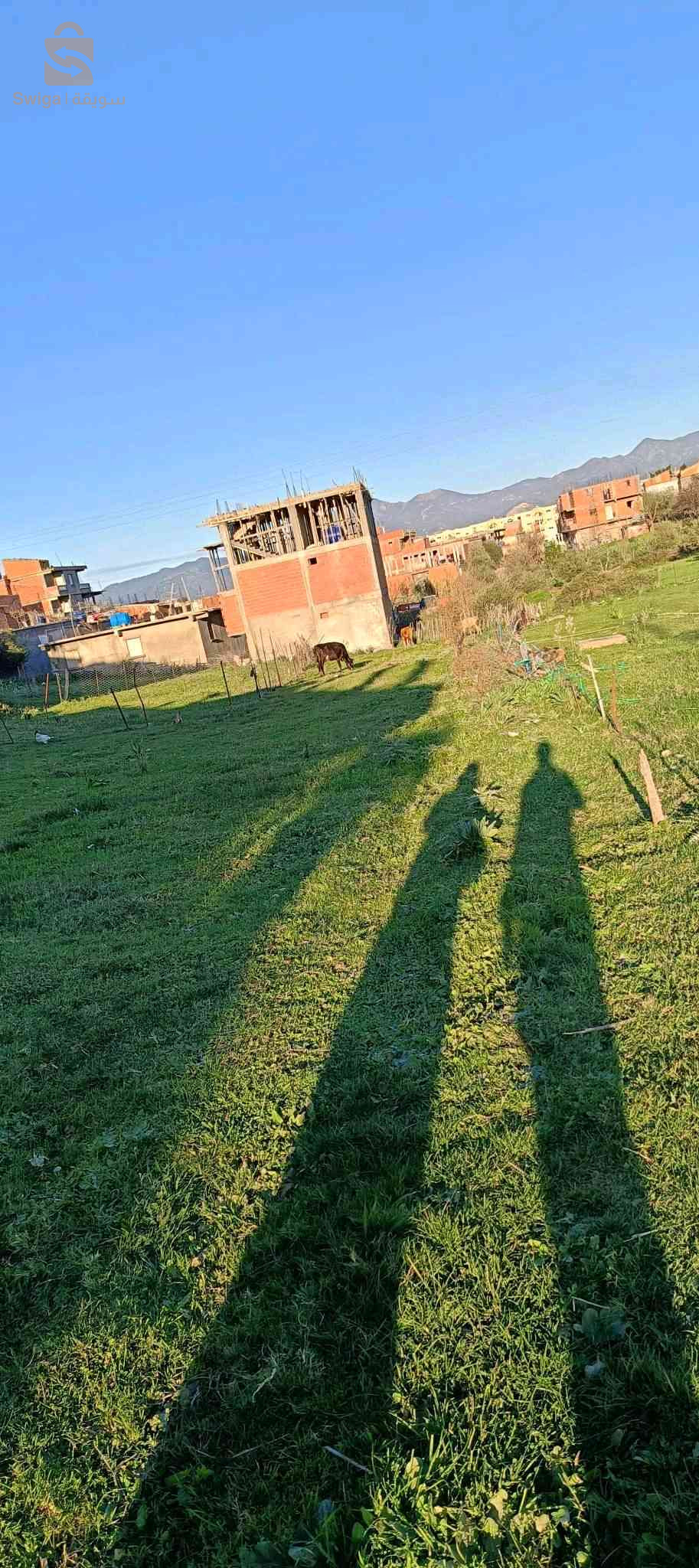 بيع قطعة ارض في تاسيفت بطاهير سومة شابة