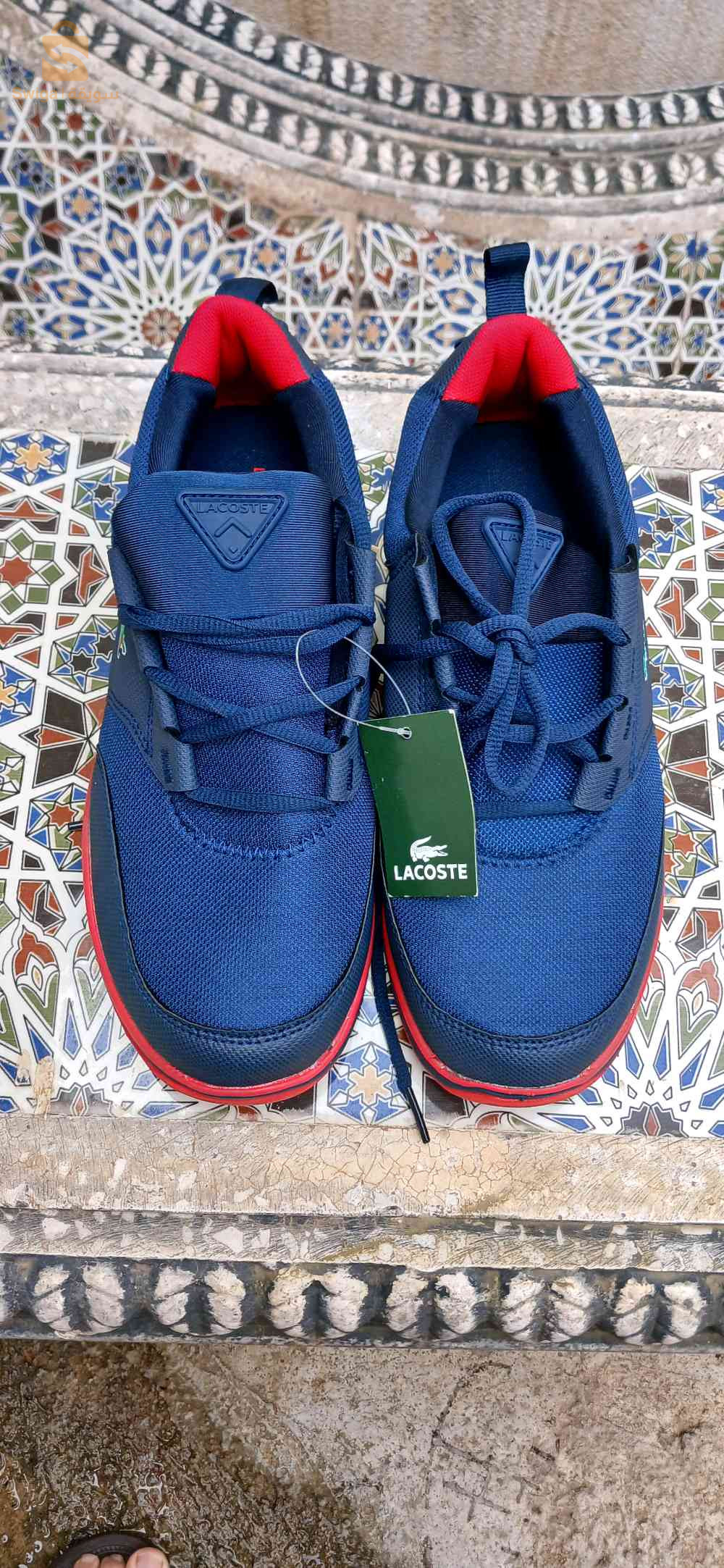 bascket lacoste homme original