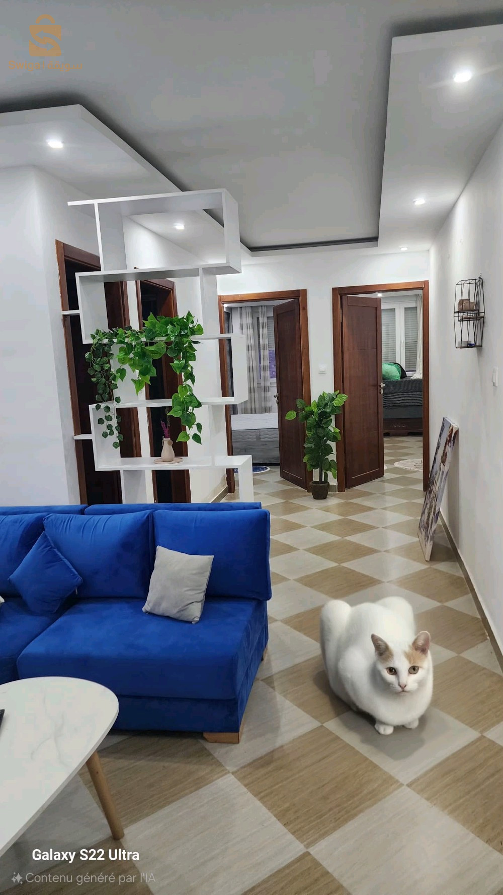 appartements lux alouer oran