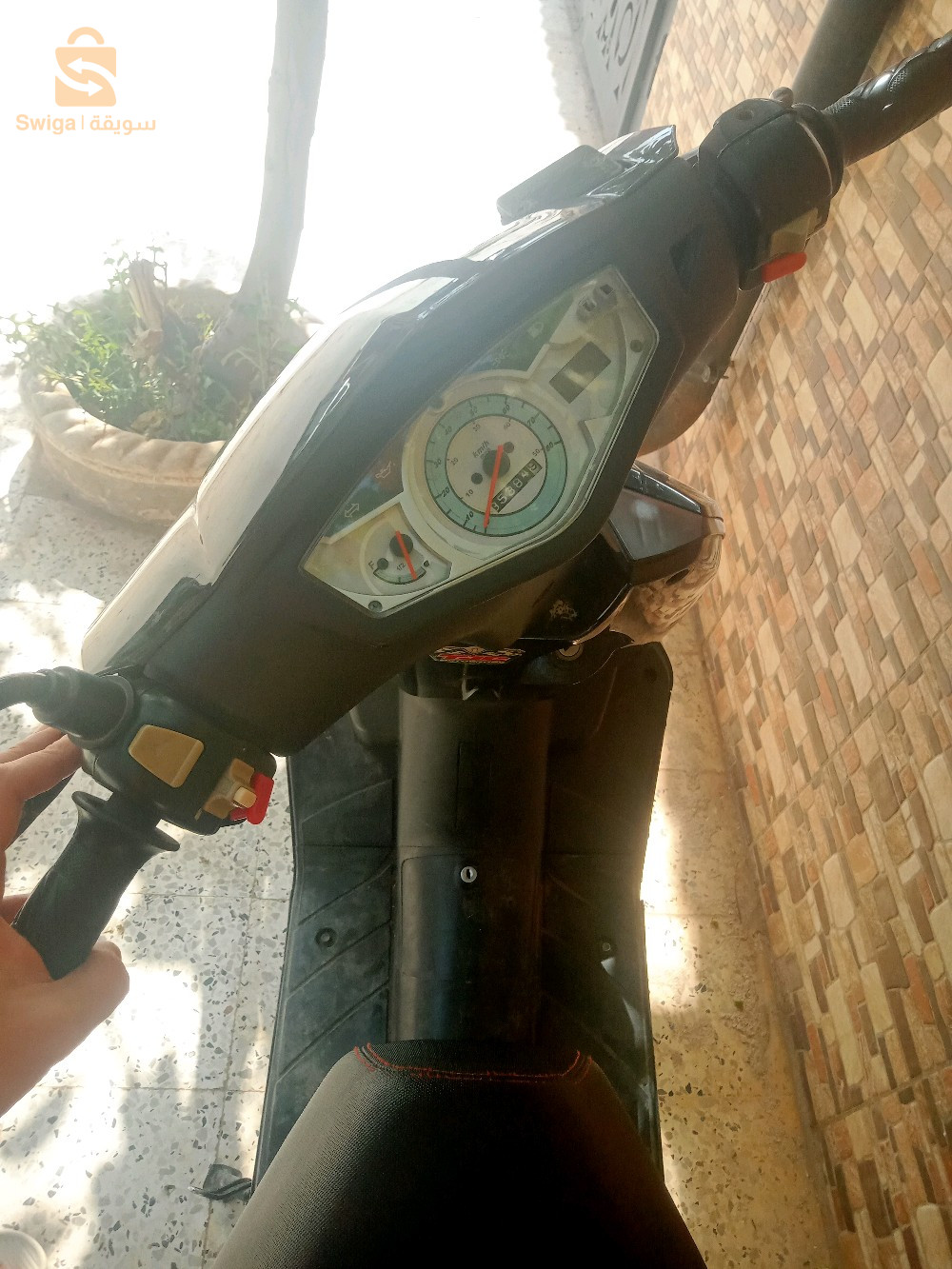 flasch 50cc