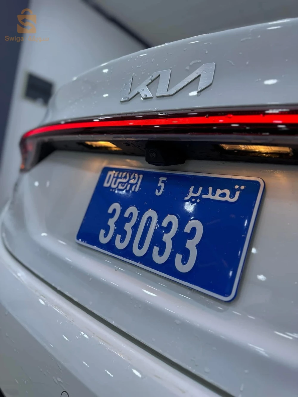 كيا 2025 39 الوادي