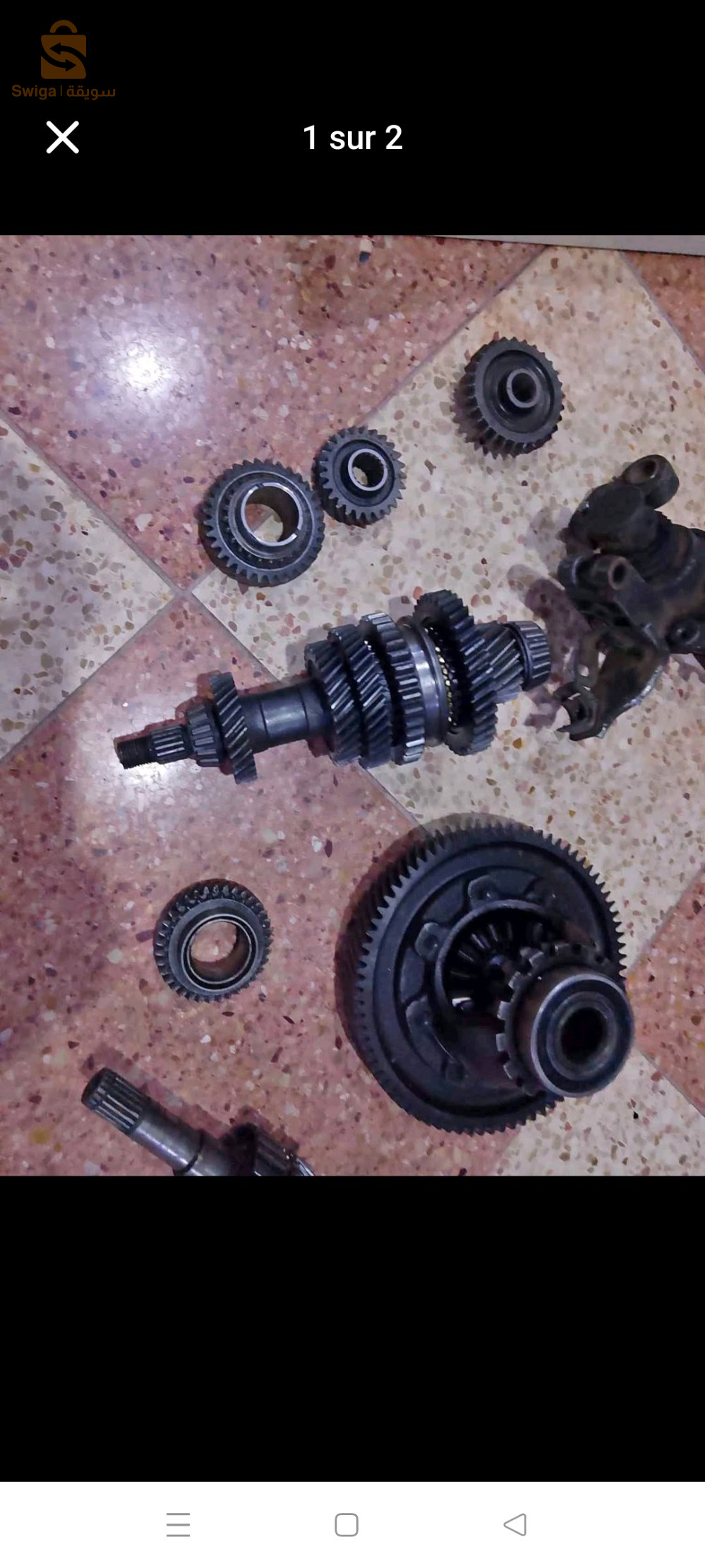 بوات فيتاس سوكون 2024