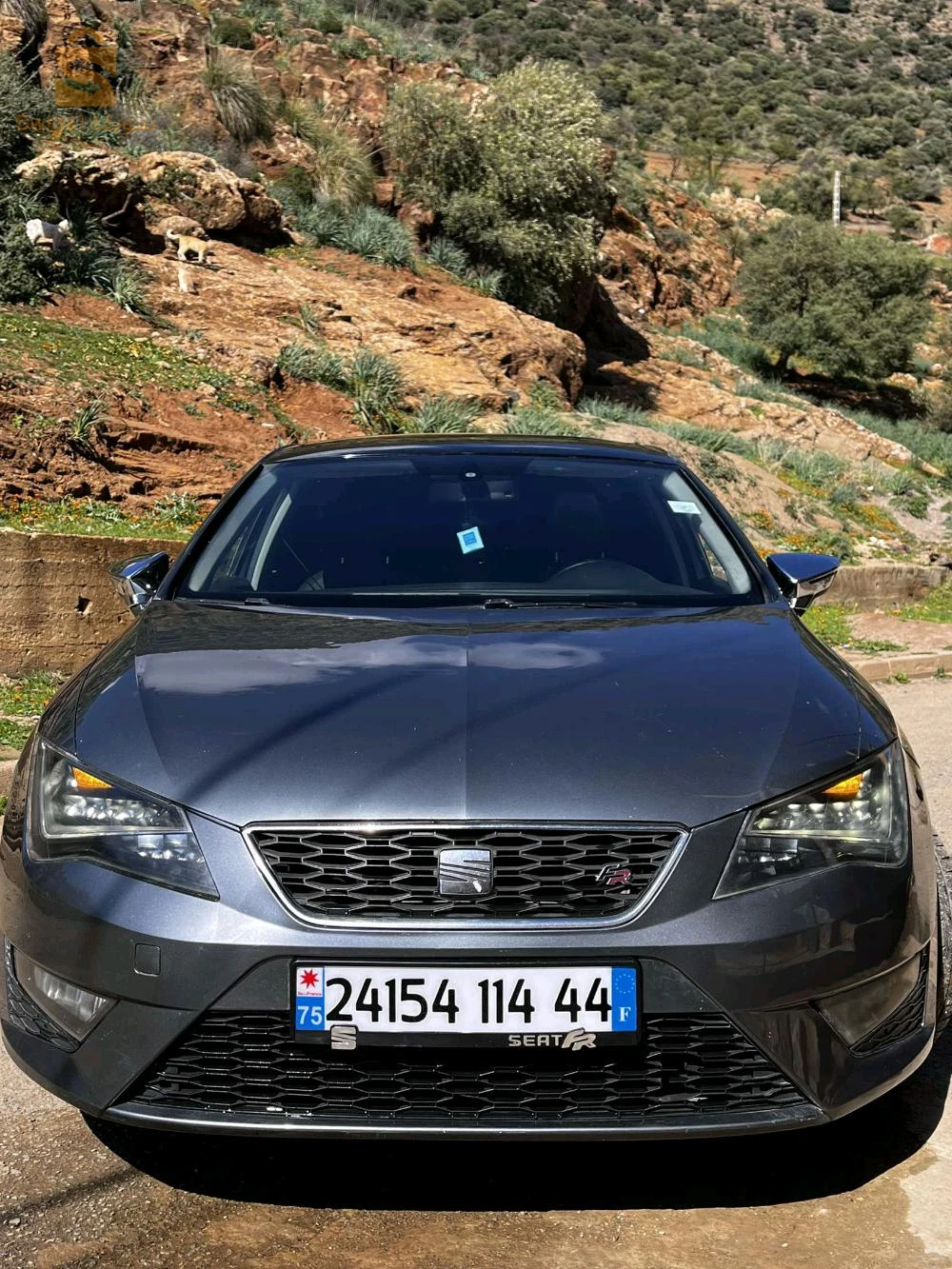 سيات Leon 2014 44 عين الدفلى