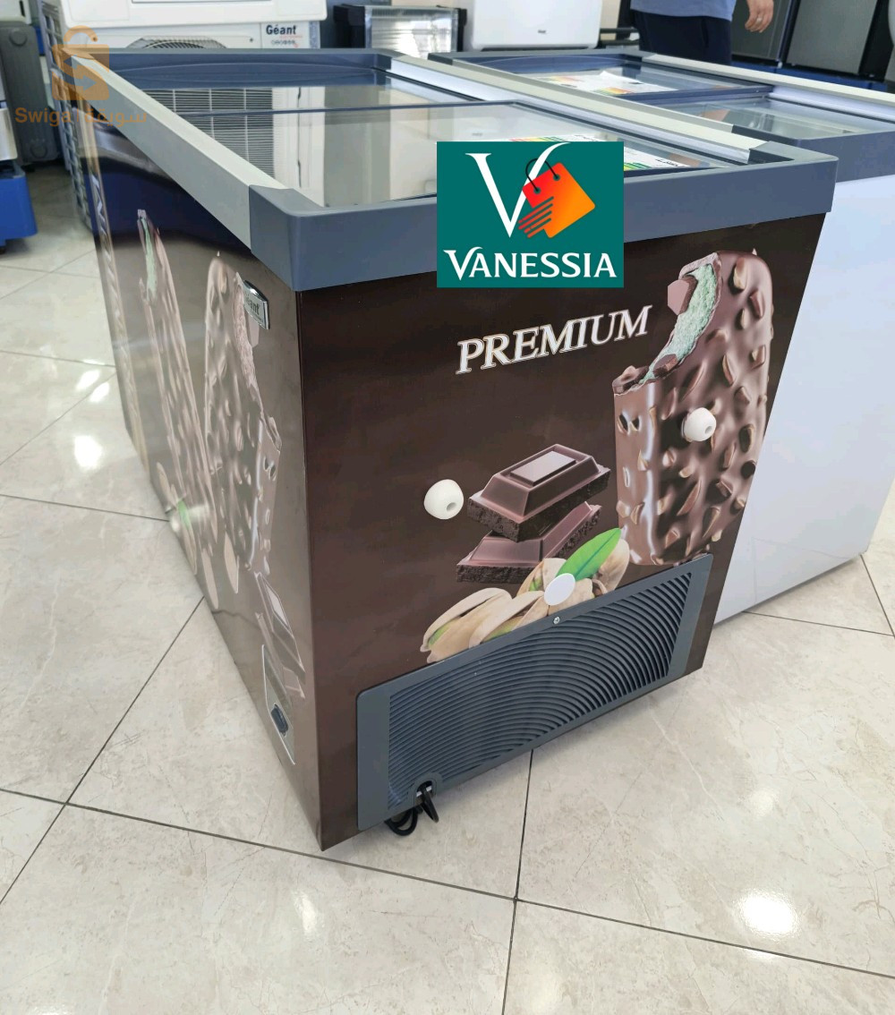 Congélateur marque géant vitré 358l