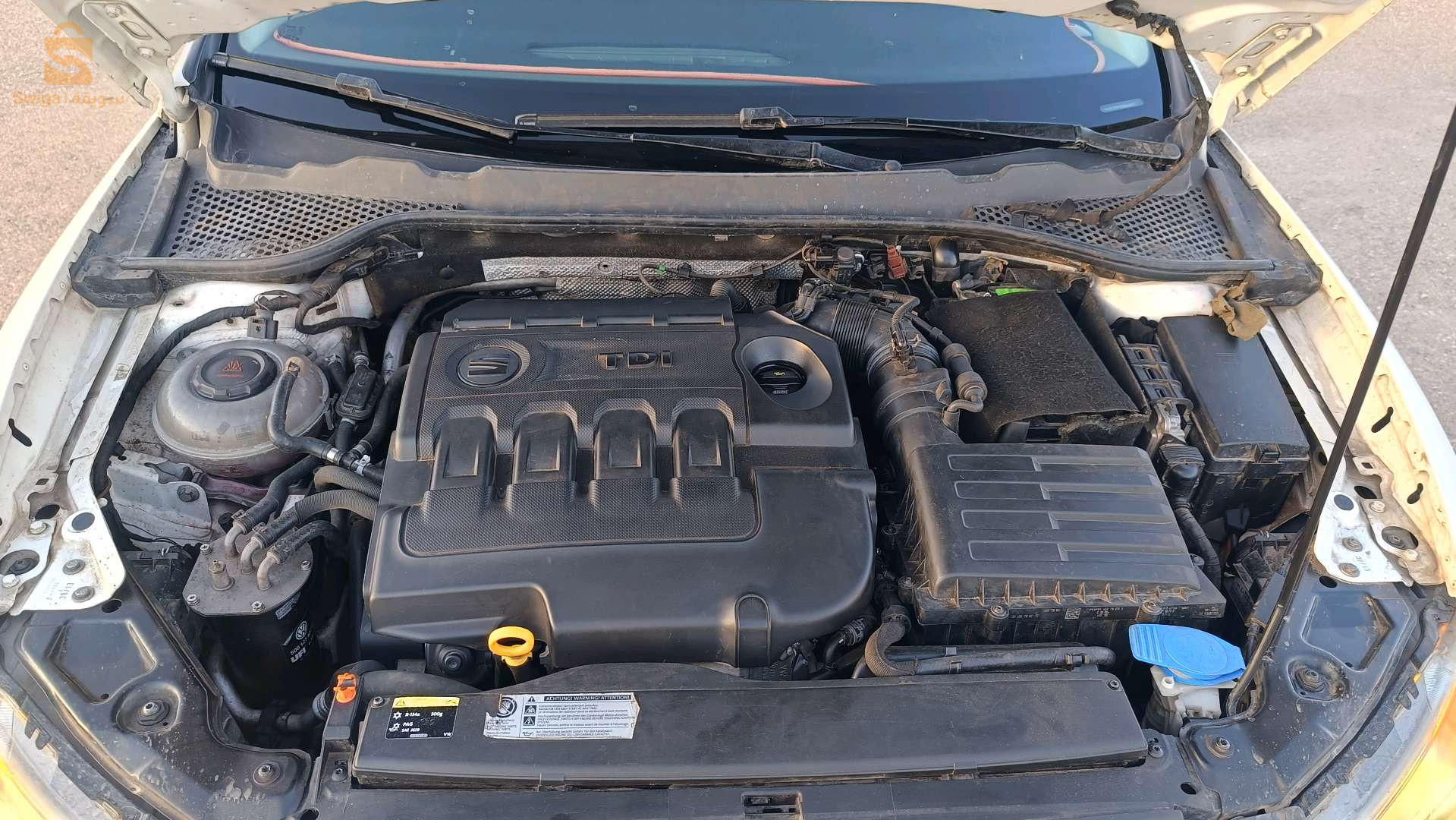 سيات Leon 2014 31 وهران