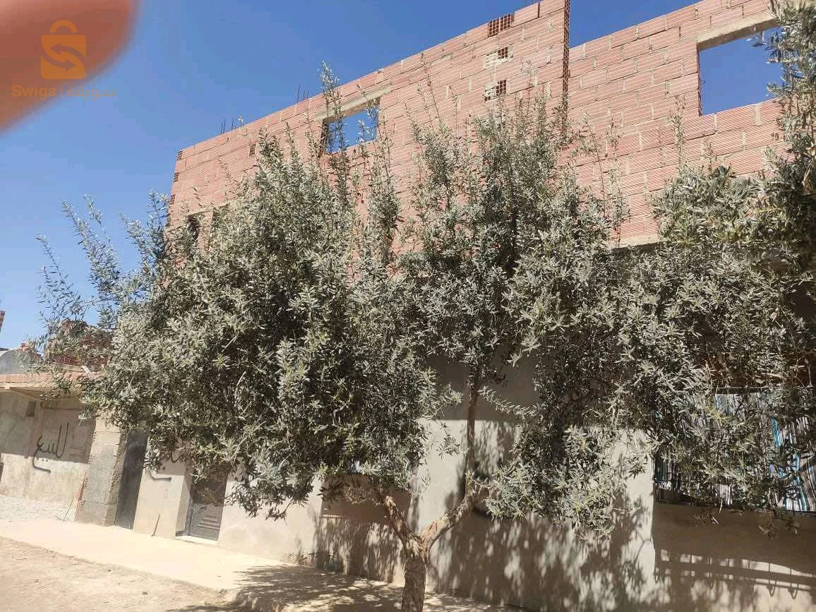 ثلاث سكنات