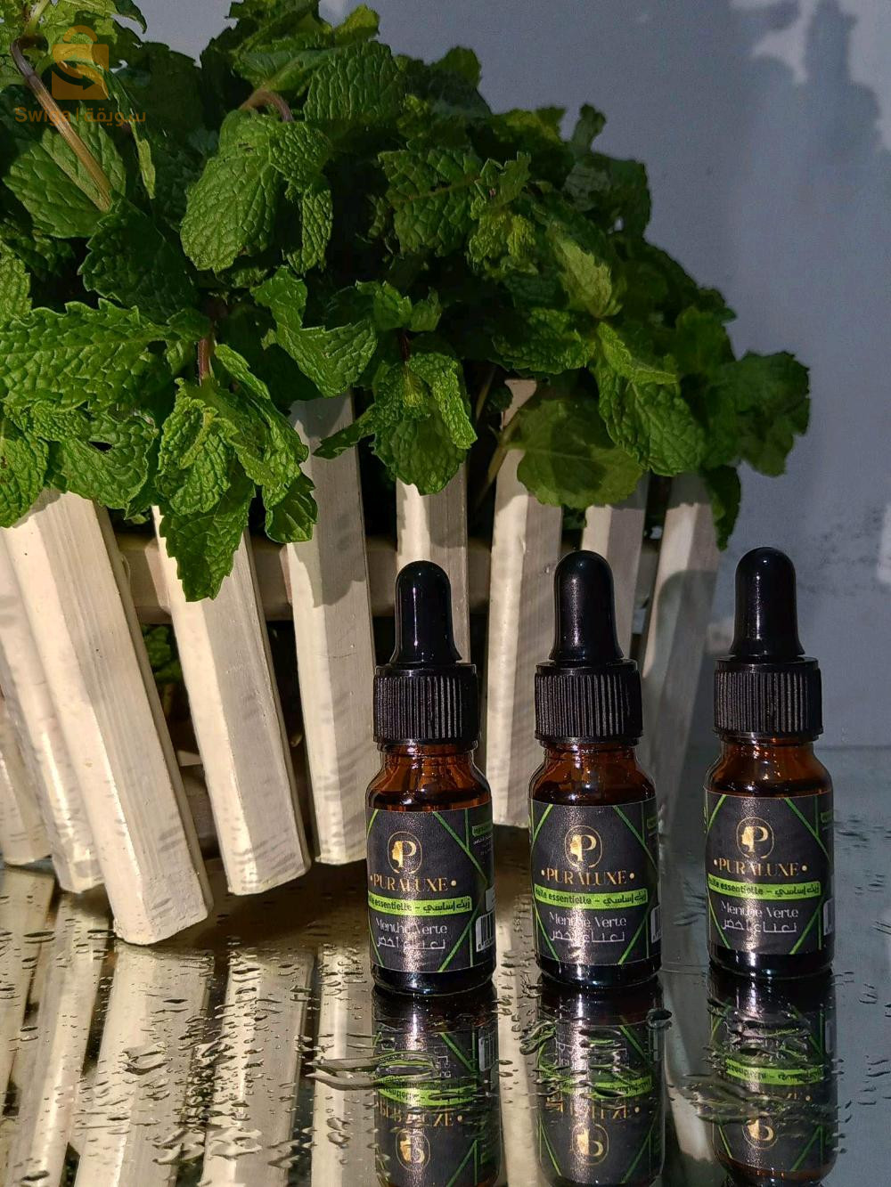 huile essentielle de la menthe 
زيت أساسي النعناع