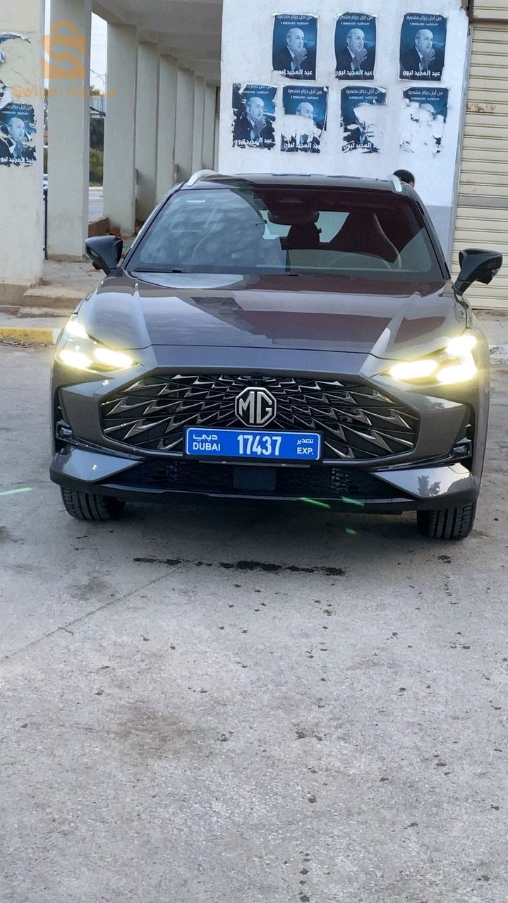 MG 2025 44 AIN DEFLA