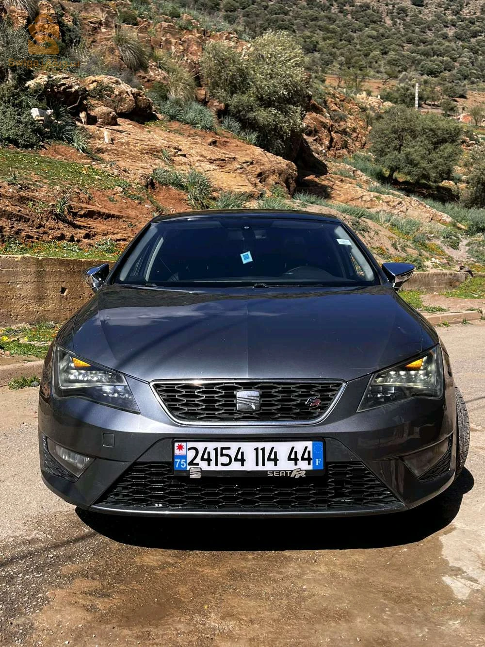 سيات Leon 2014 44 عين الدفلى