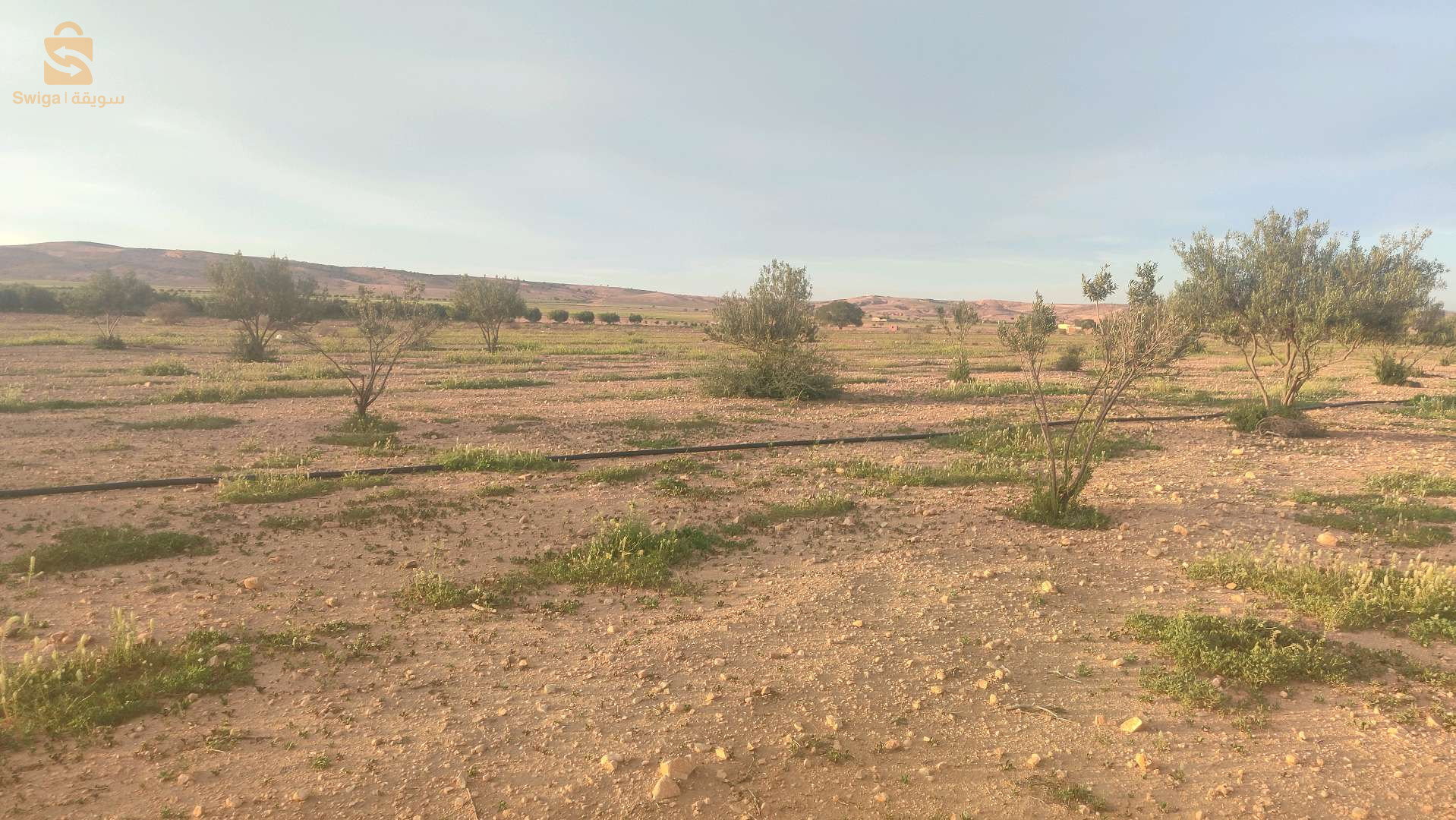 إعلان عن بيع قطعة أرض فلاحية بمساحة 5 هكتار