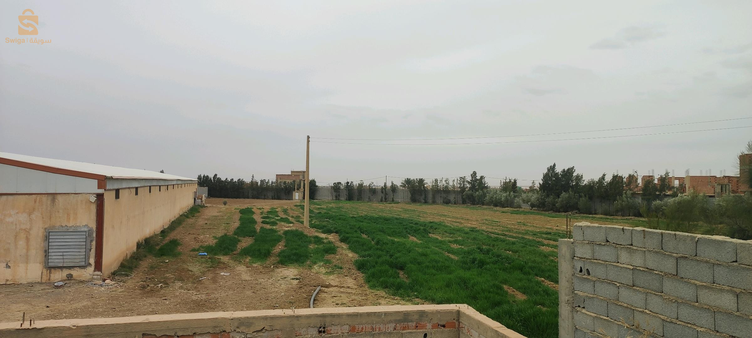 hangar (مستودع) + قطعة ارض زراعية 1 هكتار