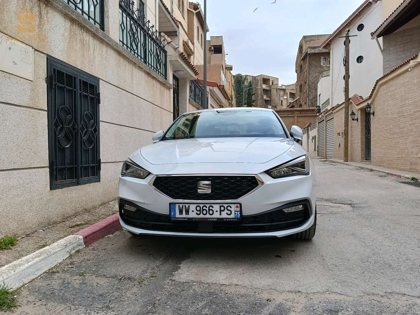 سيات Leon 2024 16 الجزائر