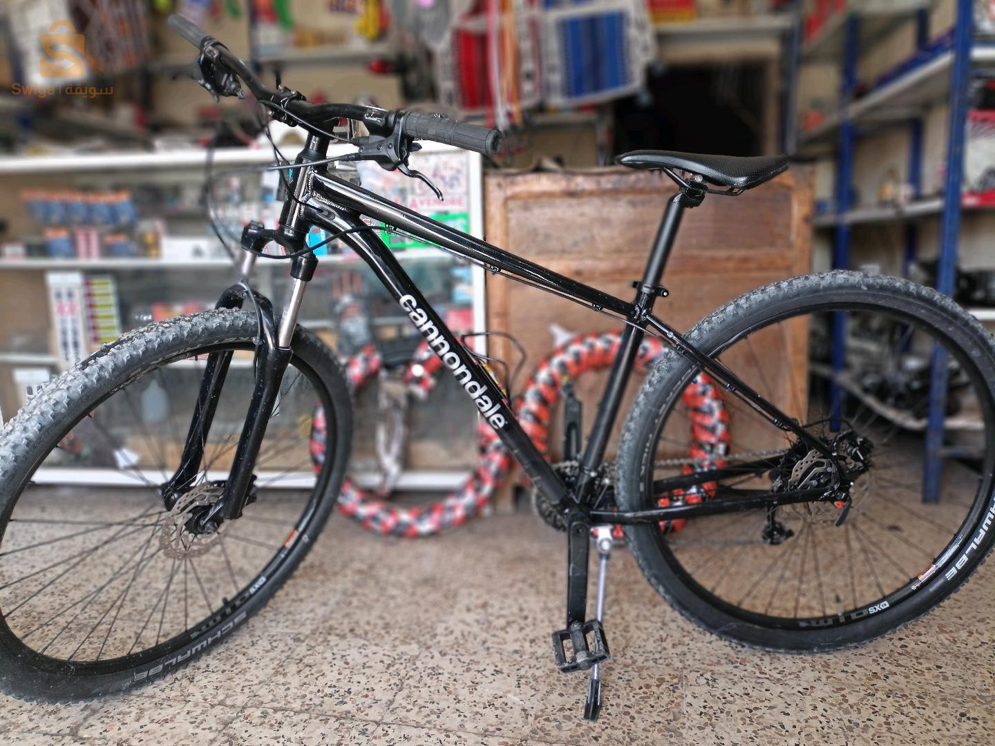 فيلو cannondale