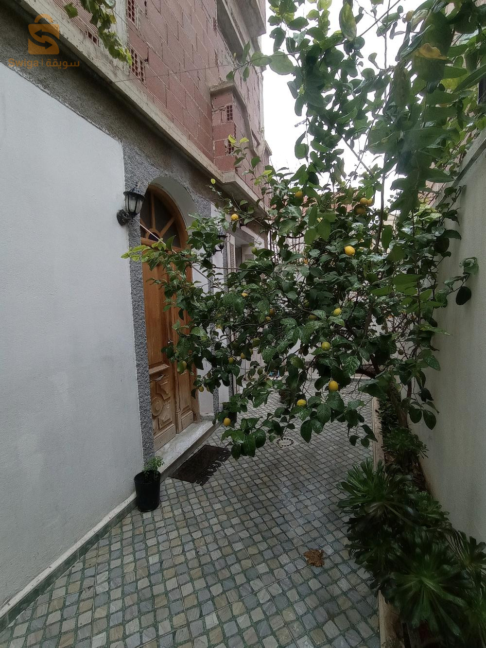 évolutif fles 4 chemain