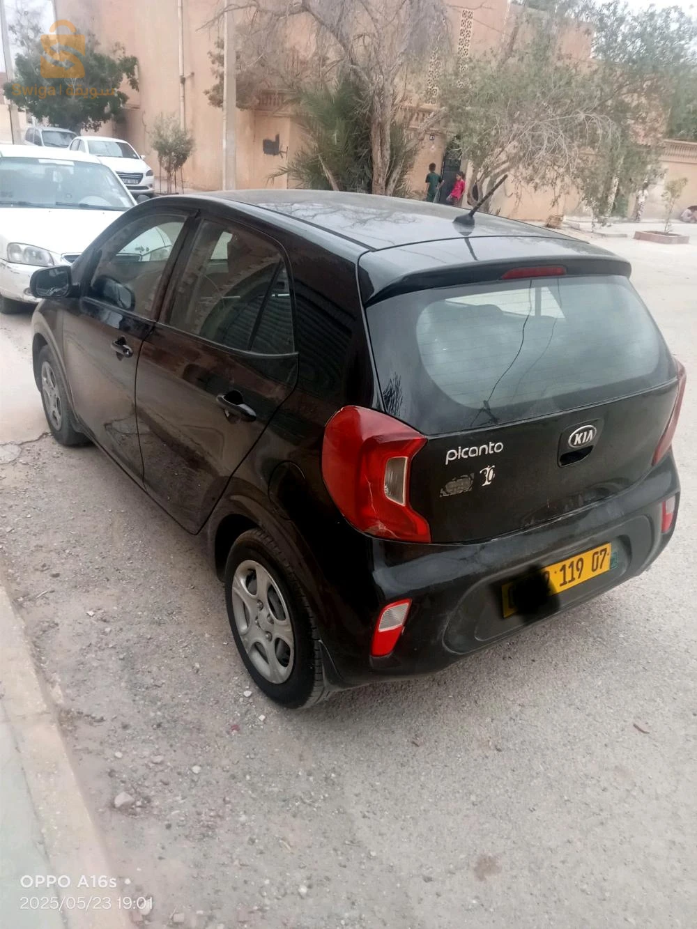 كيا Picanto 2019 7 بسكرة