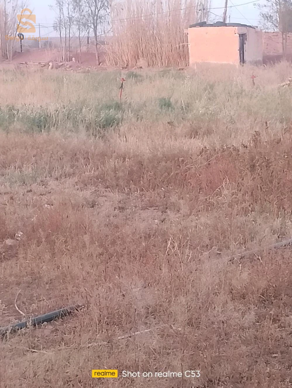 فيرمة تجارية زراعية للبيع