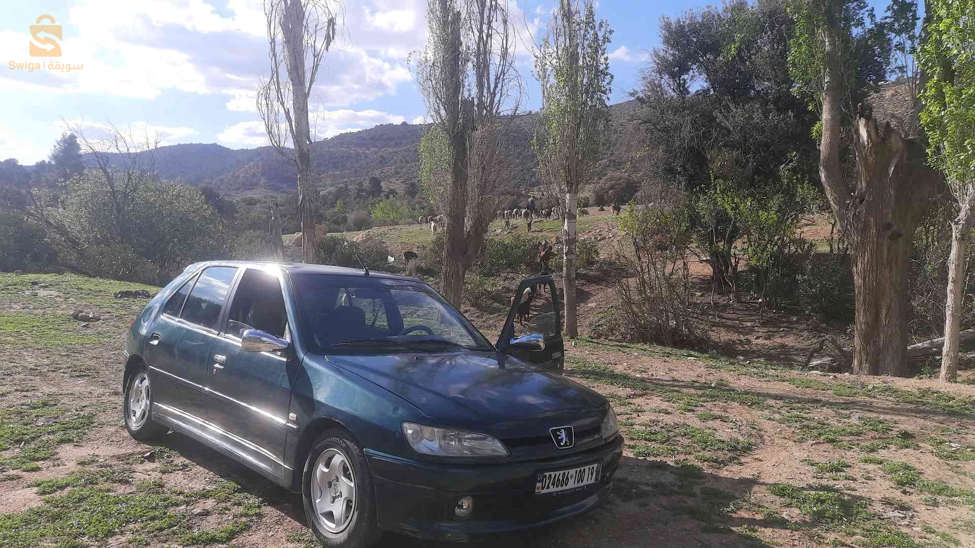 بيجو 2000 19 سطيف