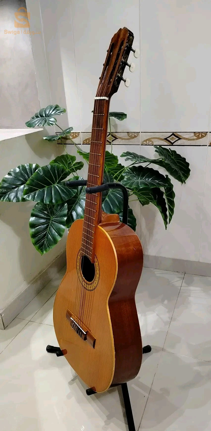 guitar