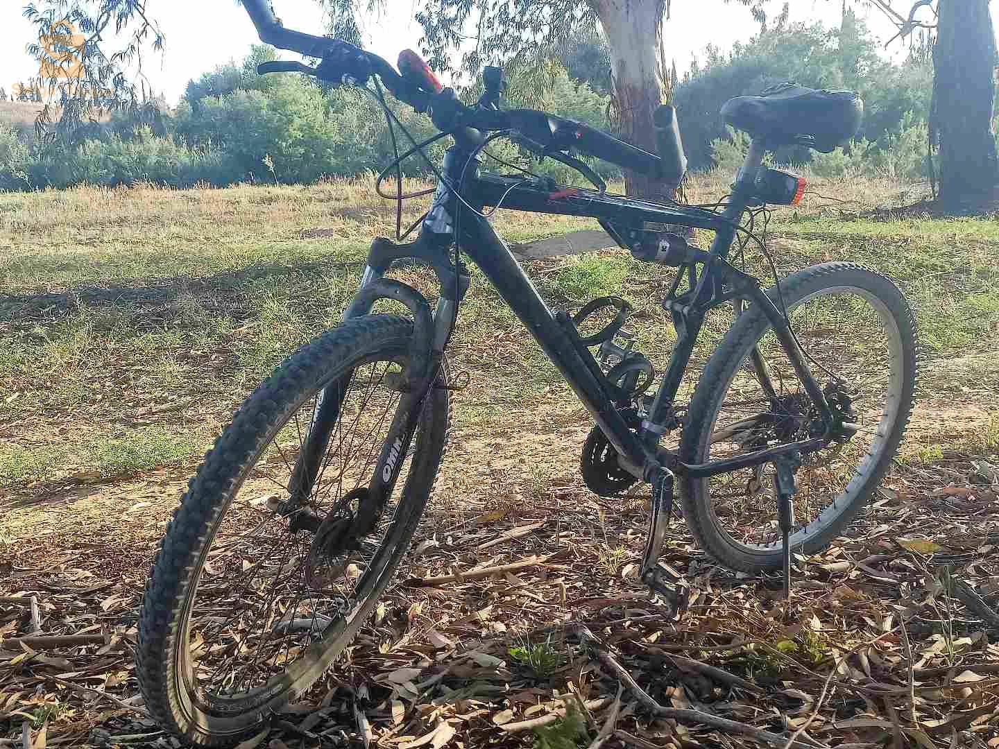 McKenzie Hill 500🇩🇪