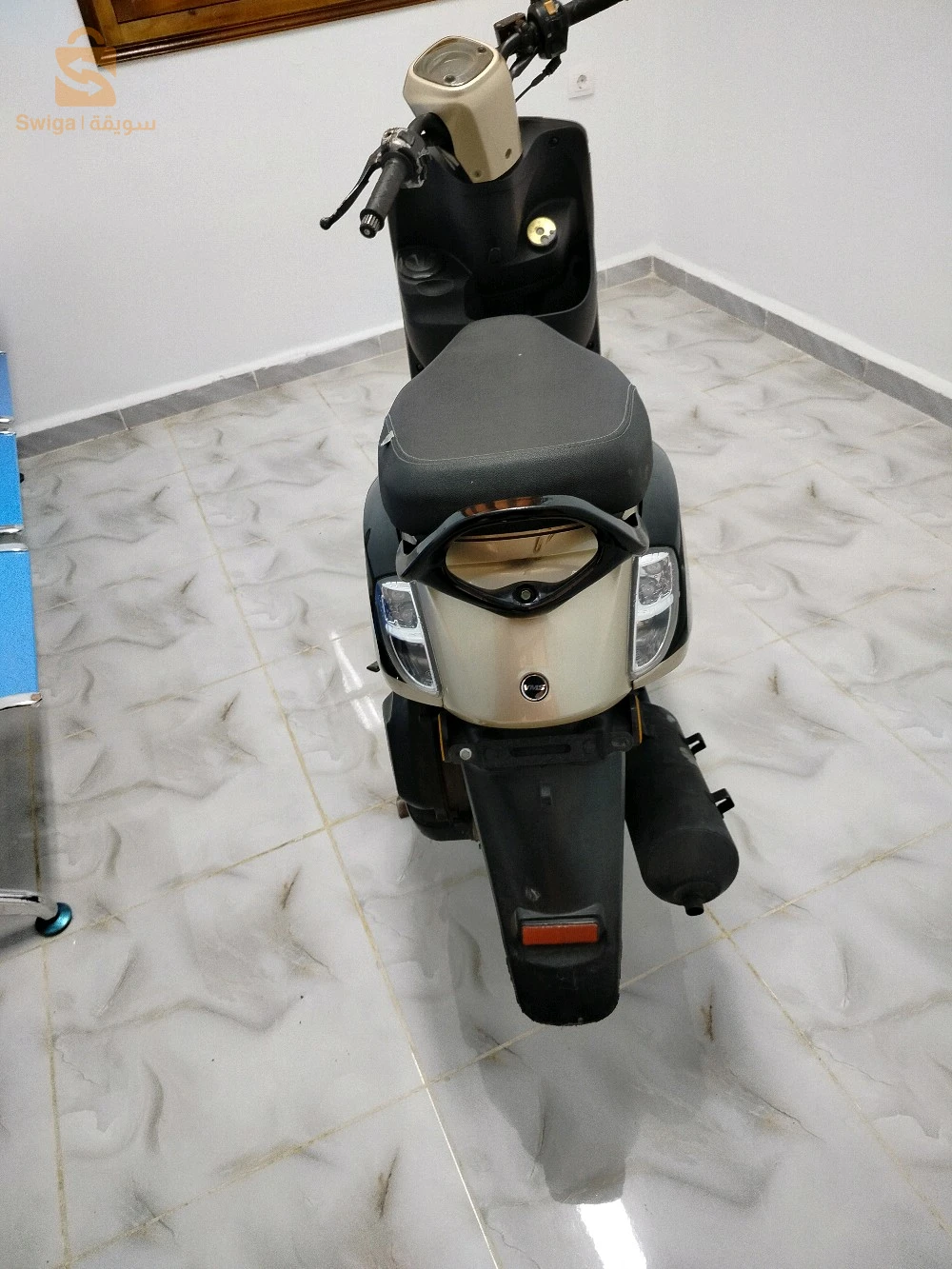 فيسبا