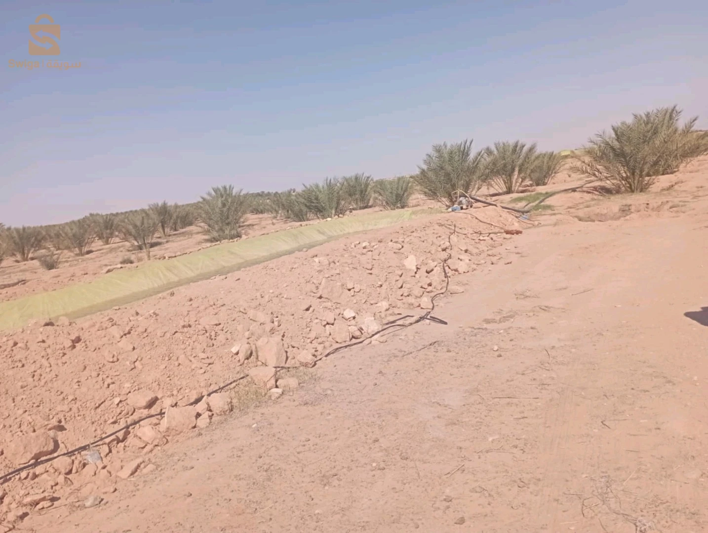 بلدية ليوة  منطقة لقميق