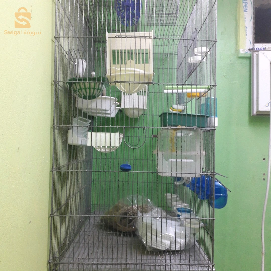 cage volliere