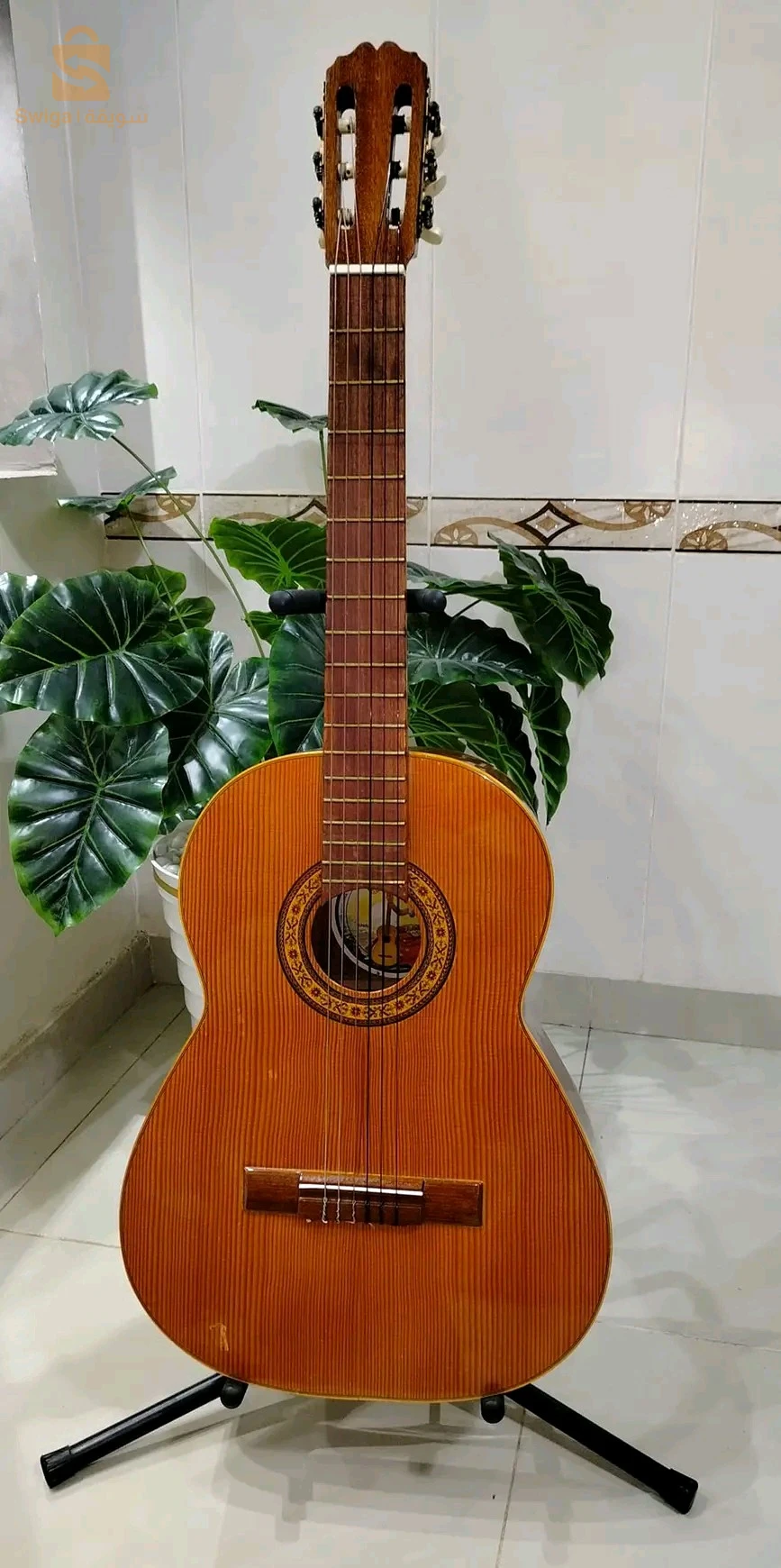 guitar
