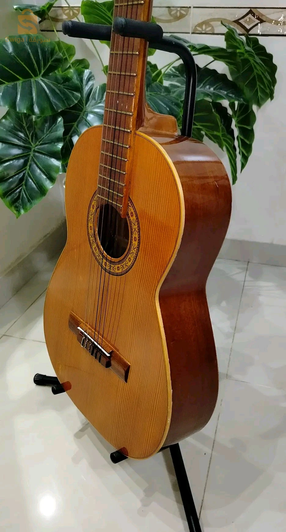 guitar