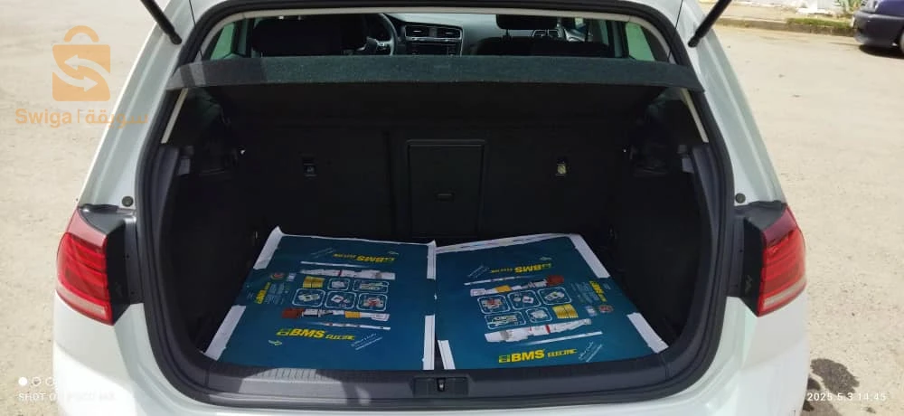 Volkswagen Golf 2019 16 ALGER