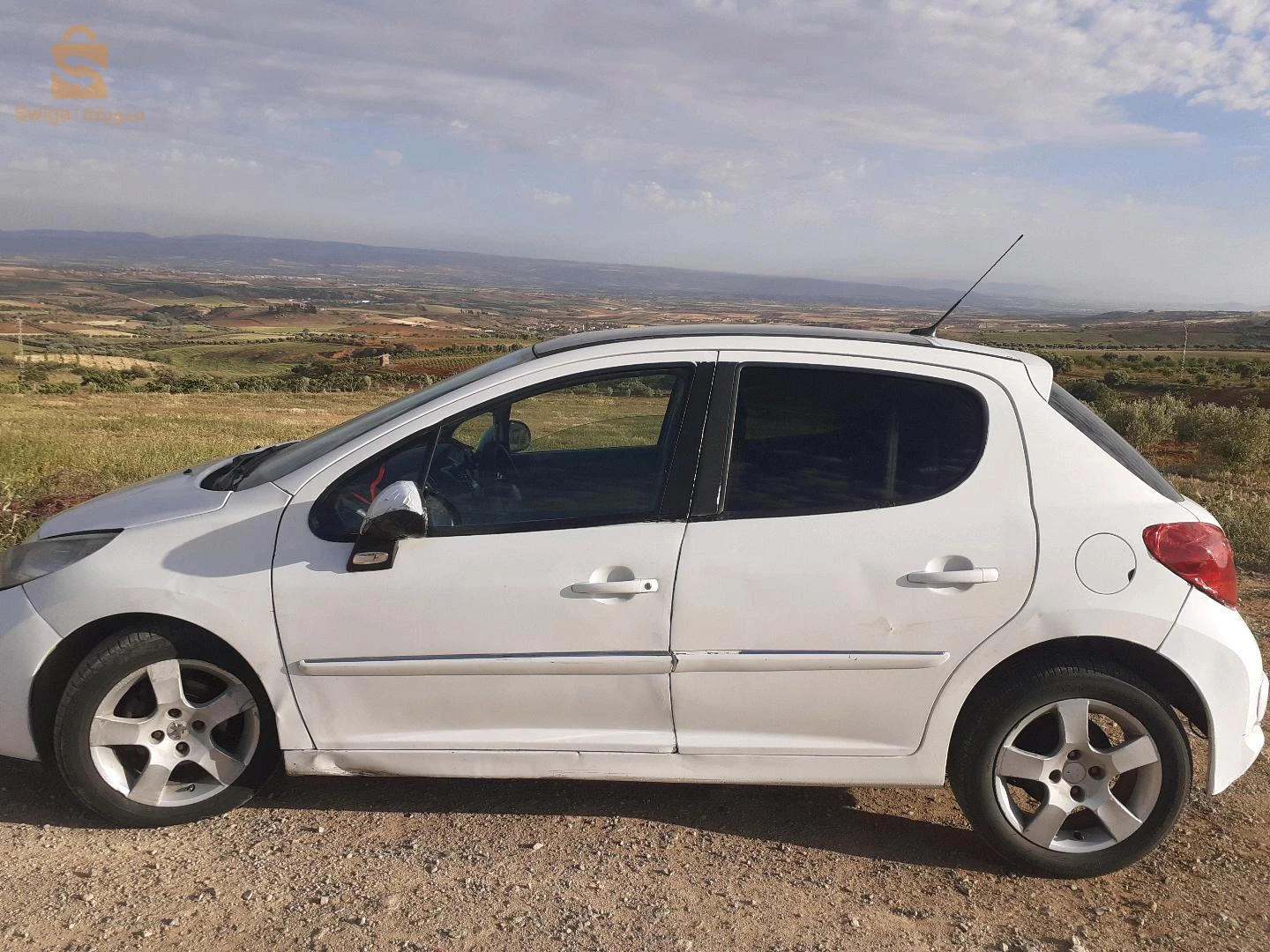 Peugeot 207 2010 29 MASCARA