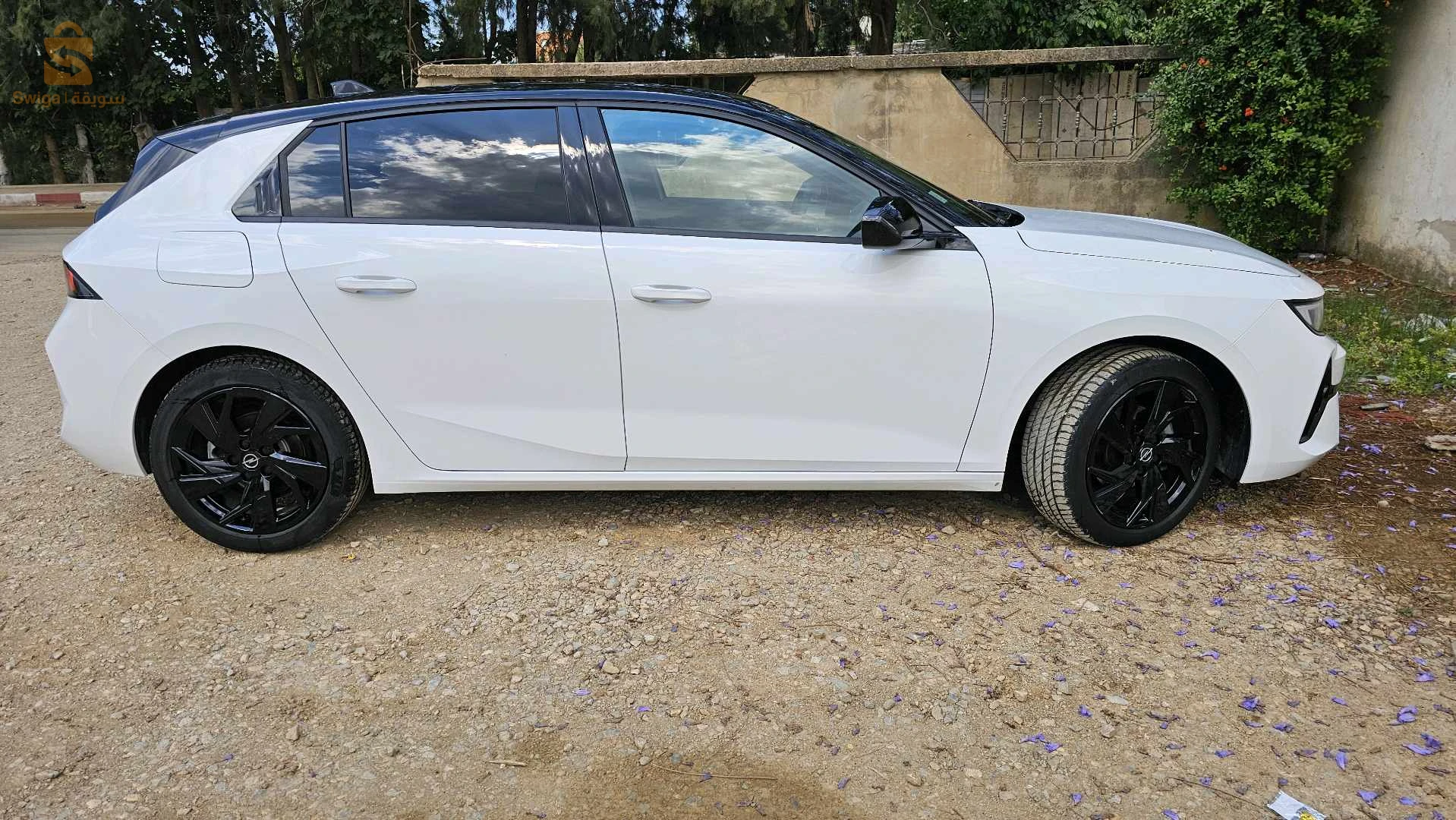 Opel 2024 9 BLIDA