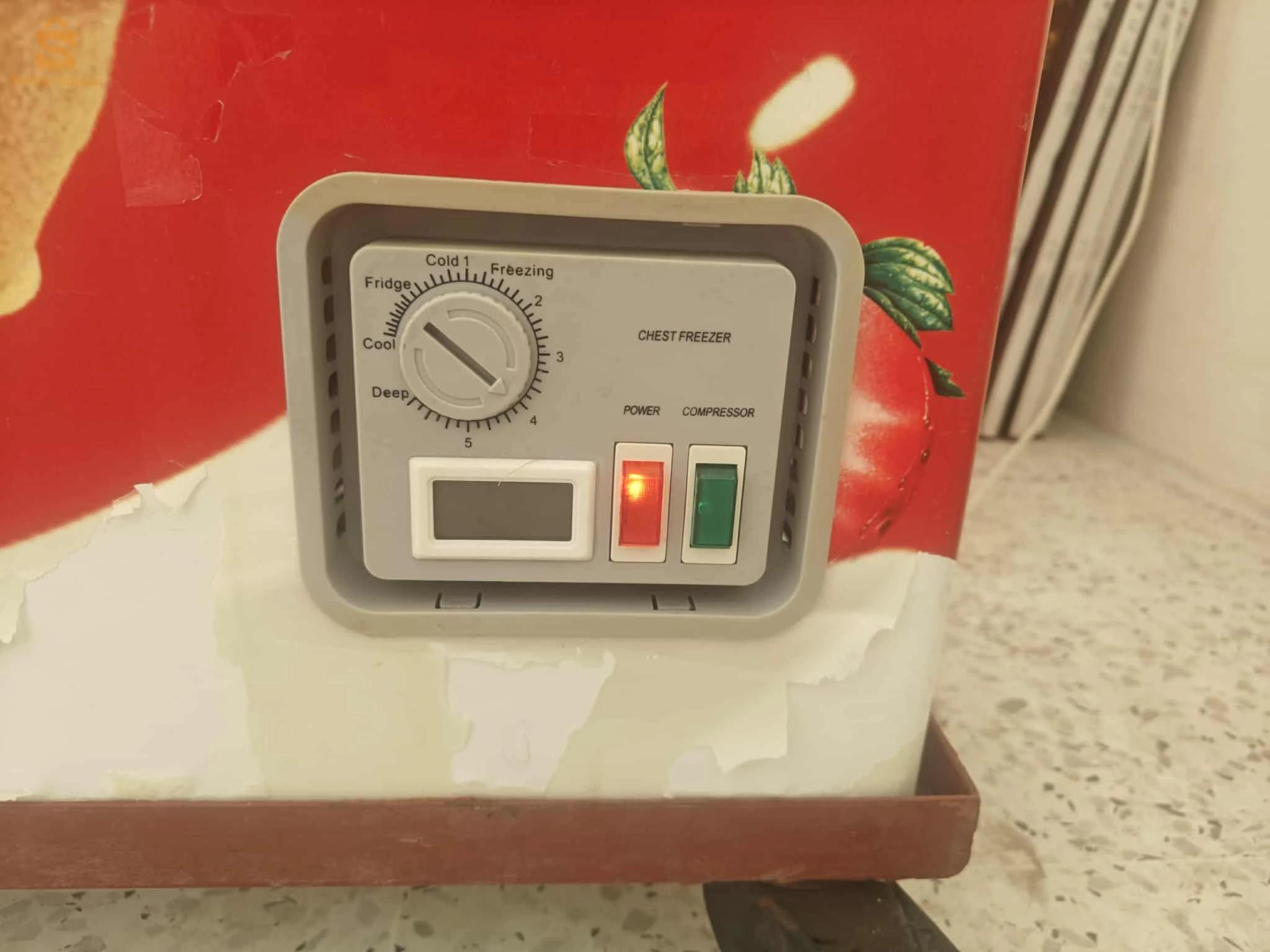 فريڨو وكونجيلاتور