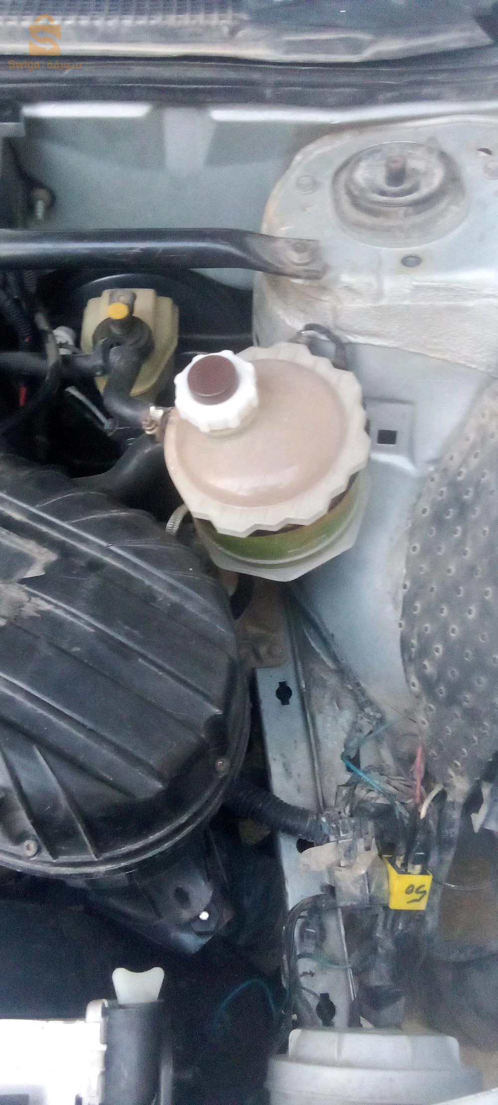 رينو 1996 19 سطيف