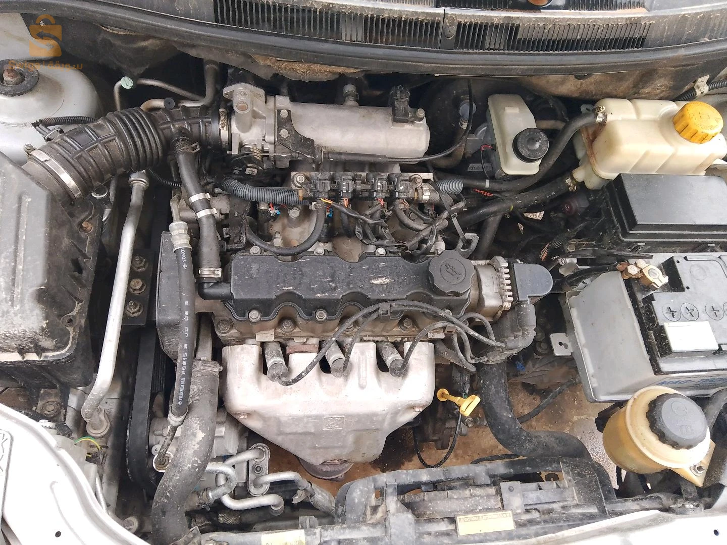 Chevrolet Aveo 2010 12 TEBESSA