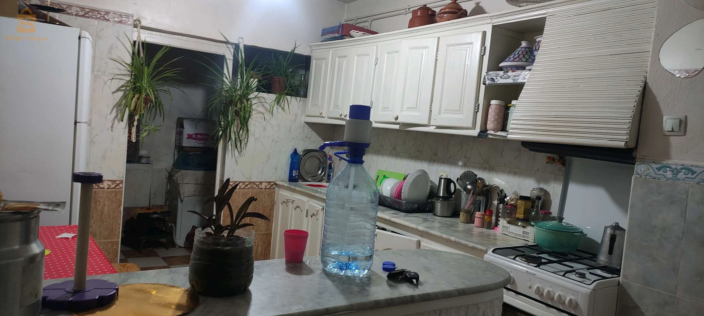 appartement a Djelfa ville