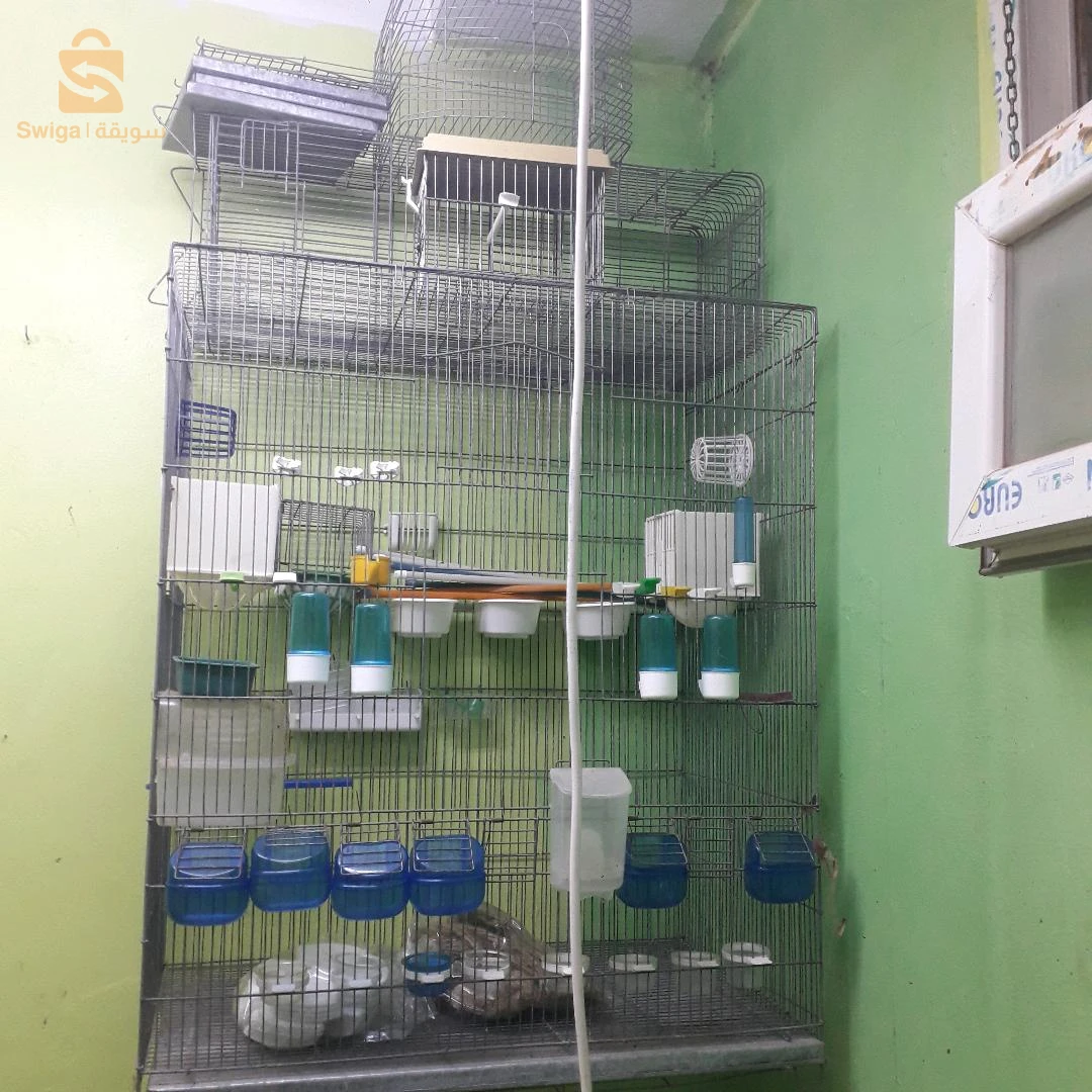 cage volliere