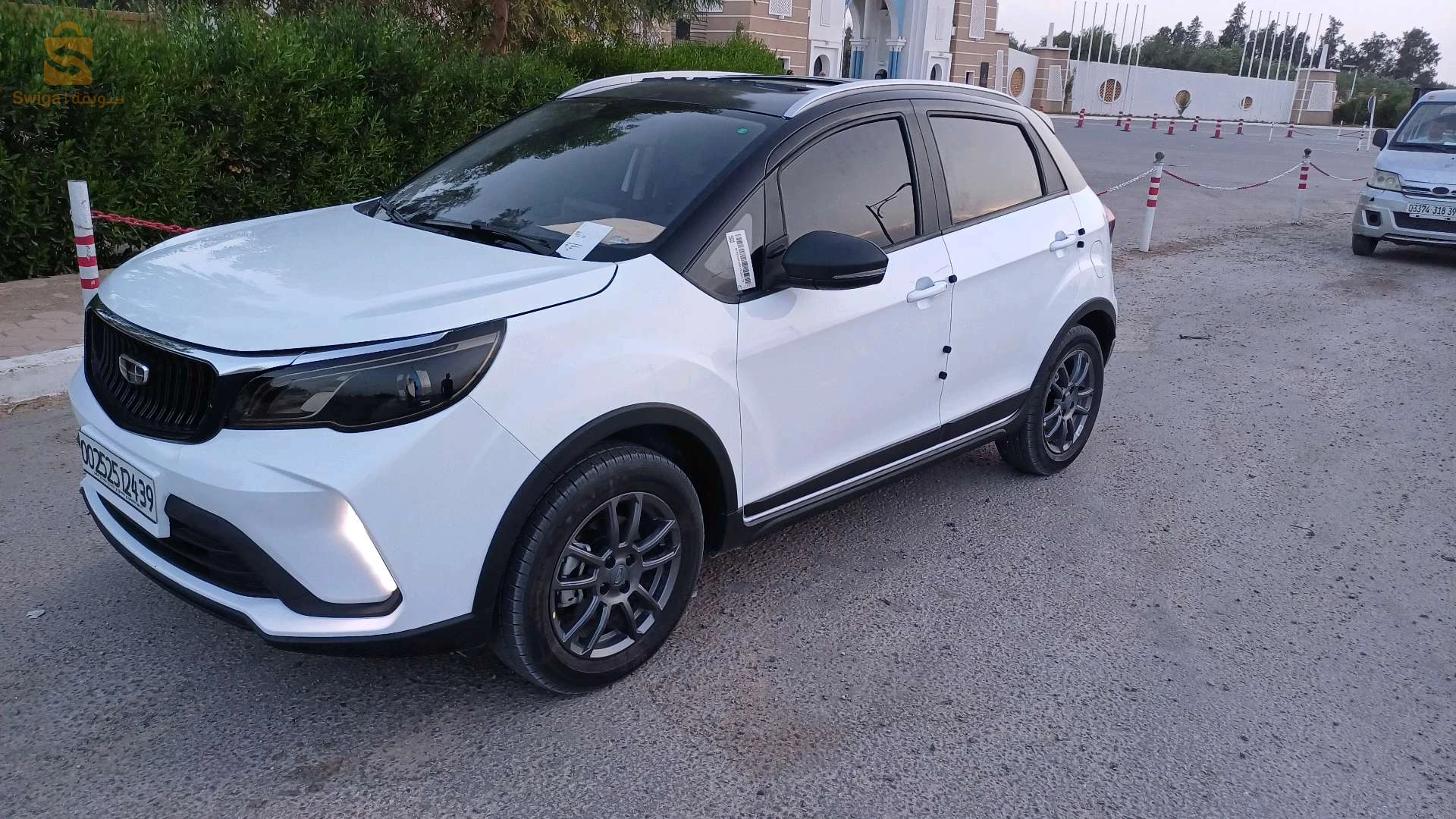 gelée 2024 39 EL OUED