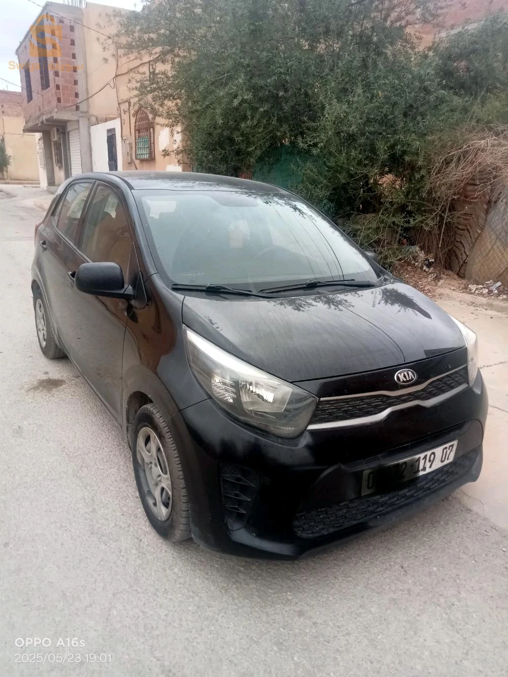 كيا Picanto 2019 7 بسكرة