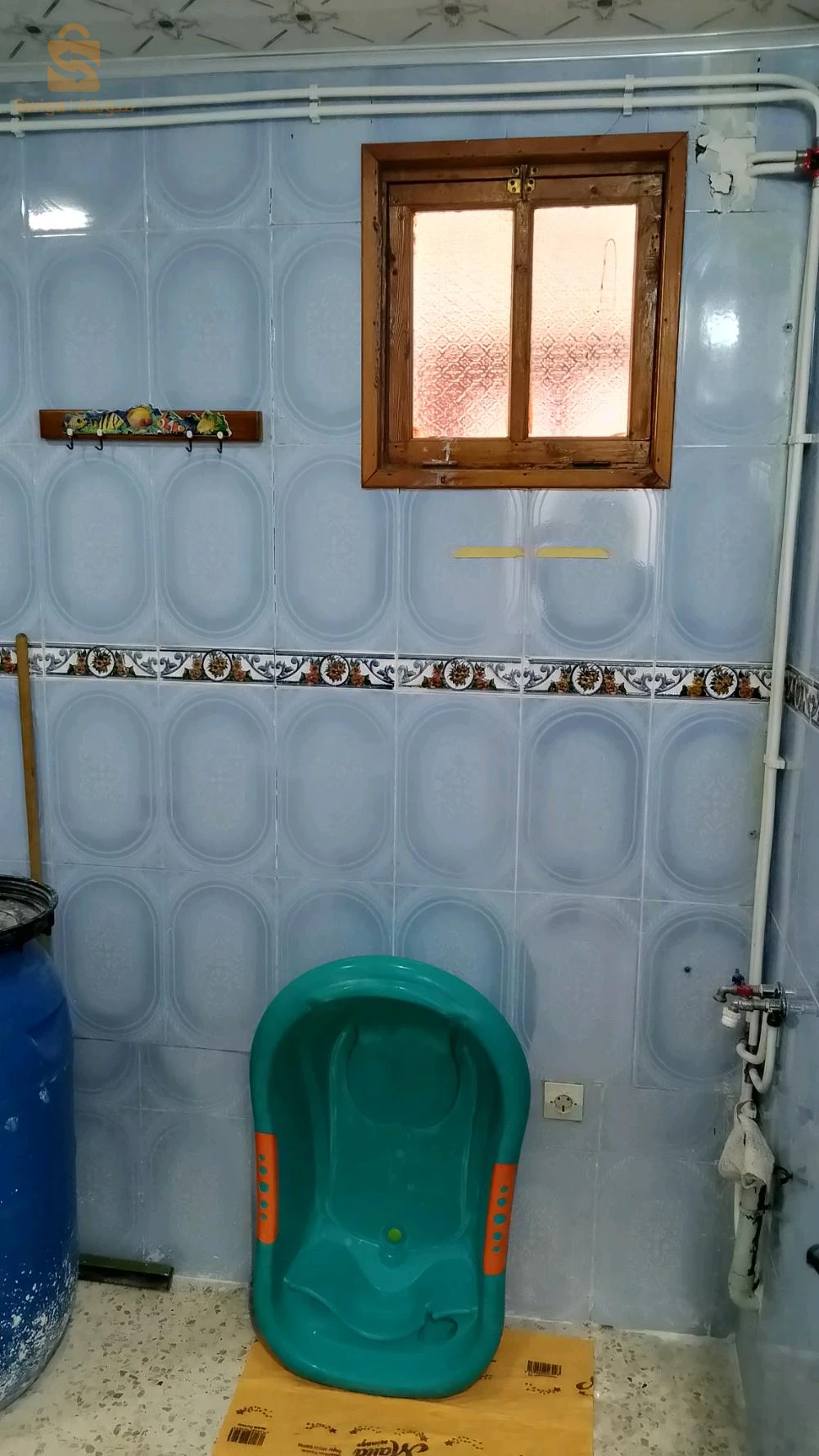 ALGER REGHAIA DNC