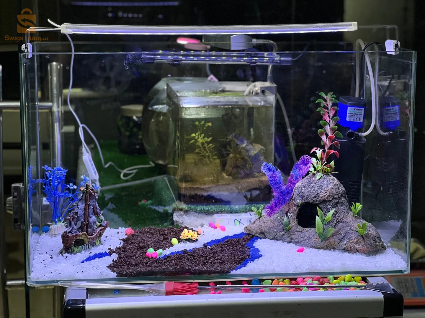 aquarium