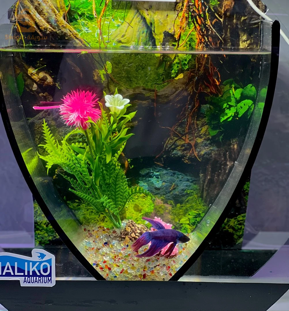 aquarium