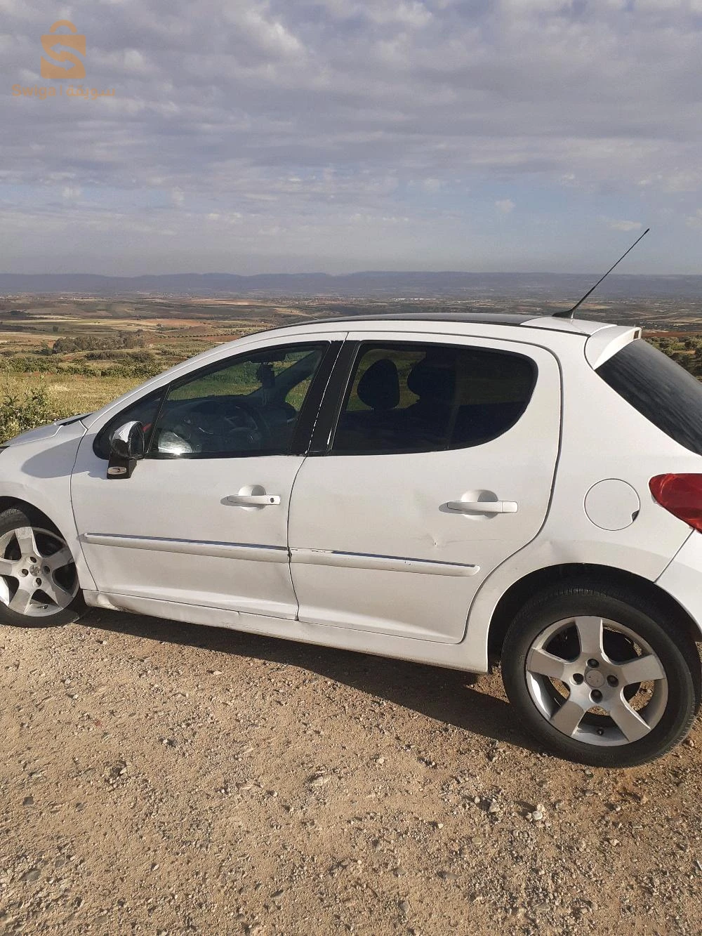 Peugeot 207 2010 29 MASCARA