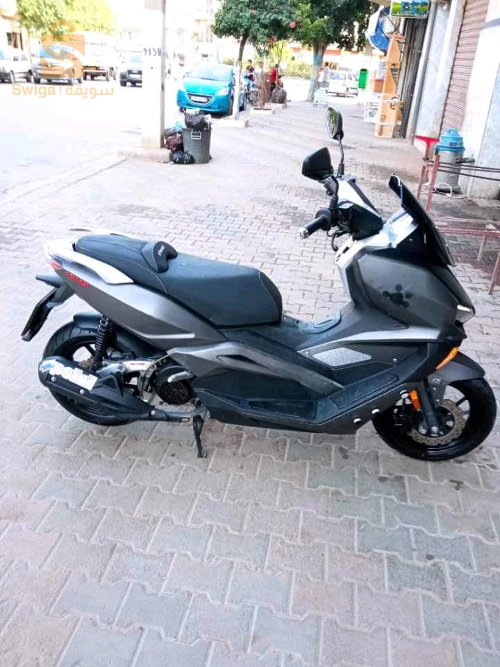 0542631079