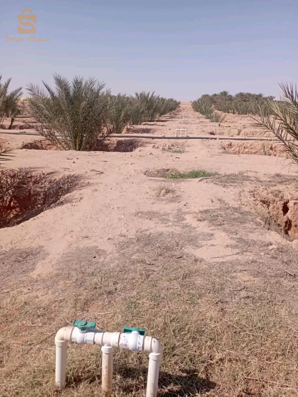 بلدية ليوة  منطقة لقميق