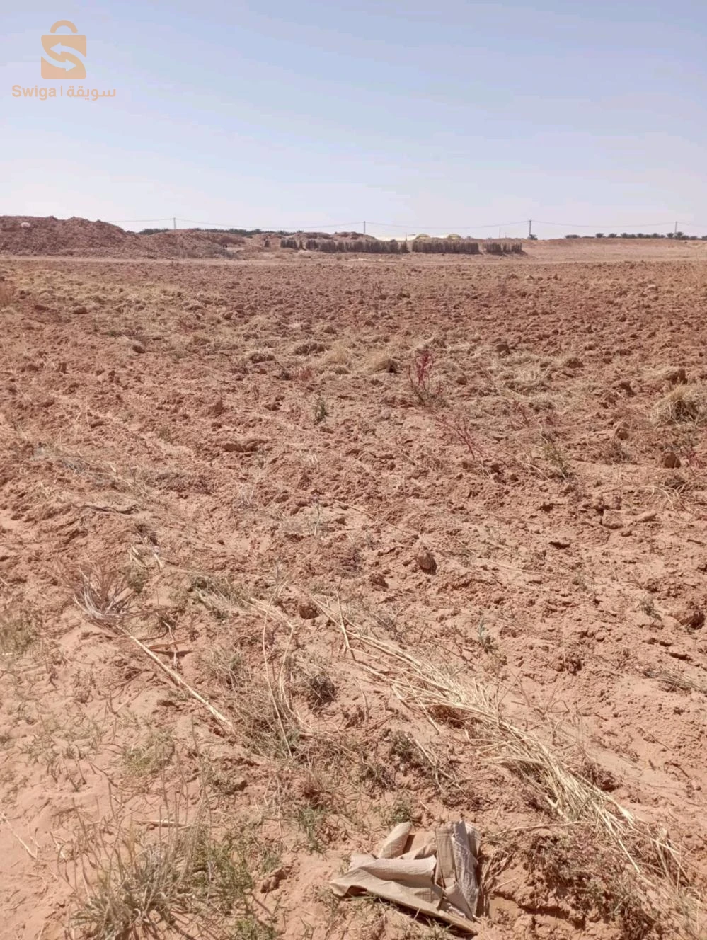 بلدية ليوة  منطقة لقميق