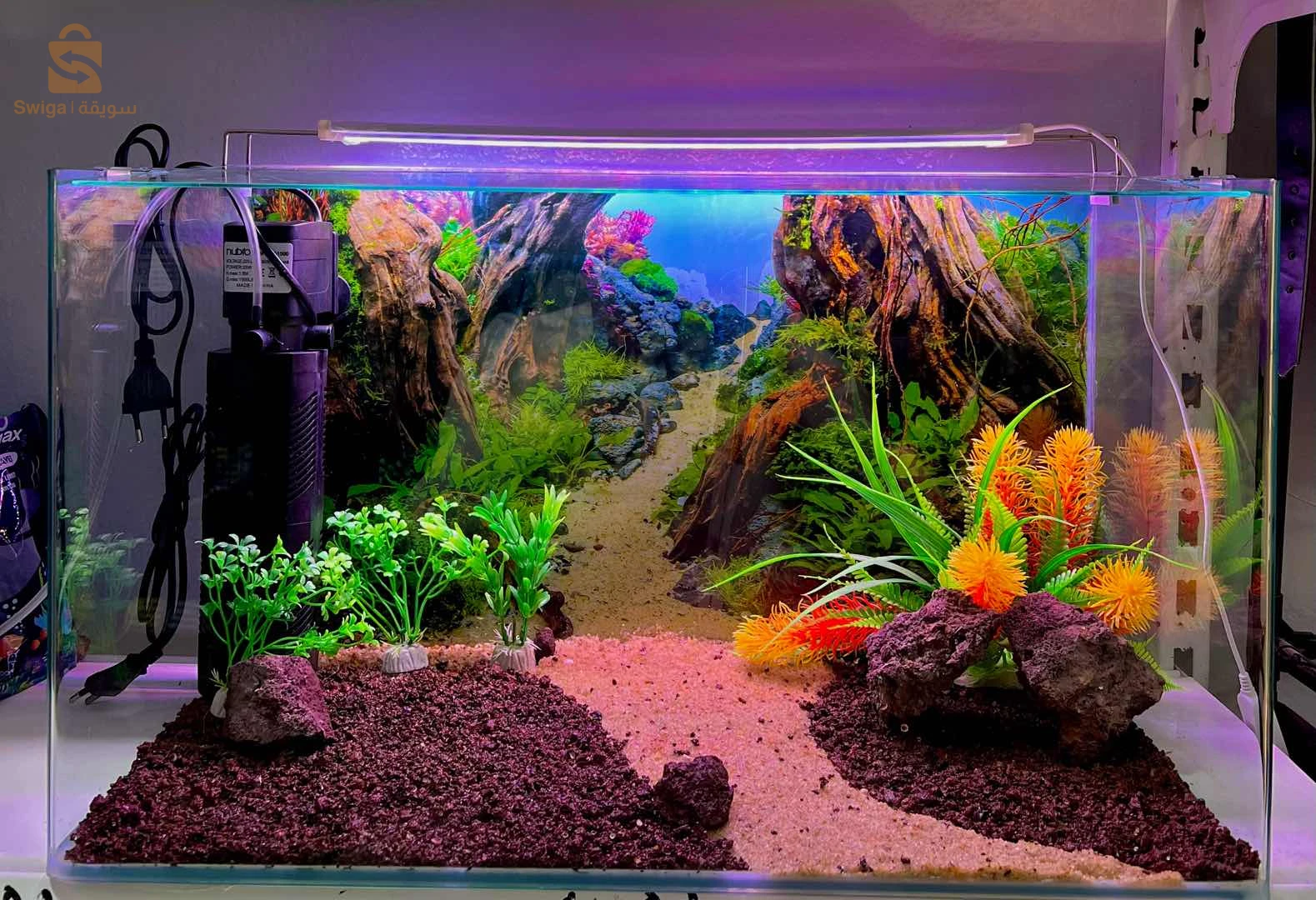 aquarium